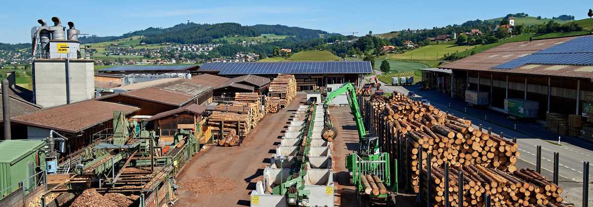 OLWO Rundholzplatz 051