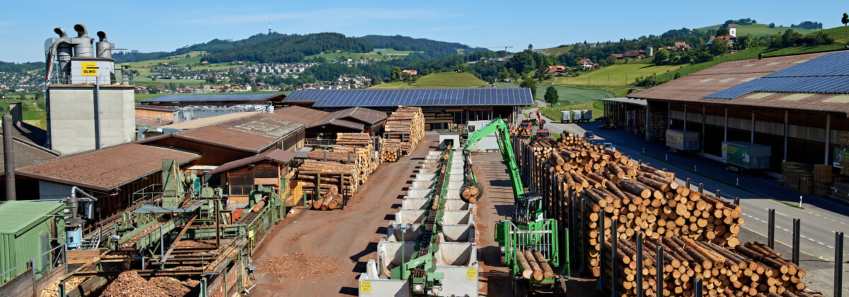 OLWO Rundholzplatz 051