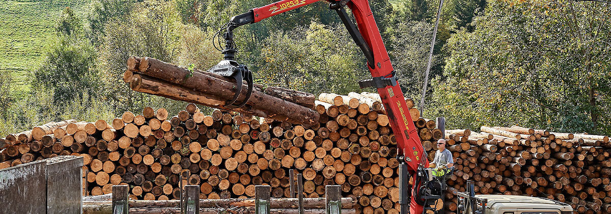 Rundholzbeschaffung web 001